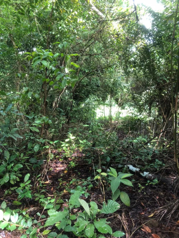 Foto - Salvador - Fazenda Grande do Retiro