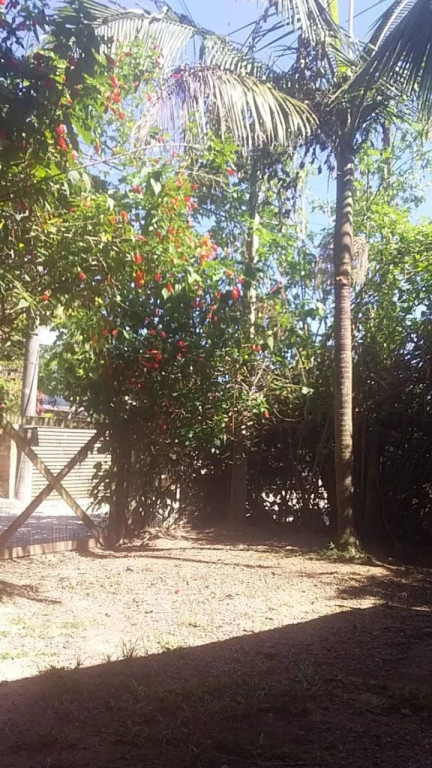 Foto - Florianópolis - Rio Tavares