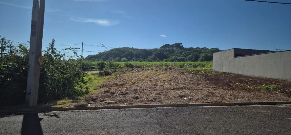 Foto - Ribeirão Preto - Fazenda Santa Rita do Picadão