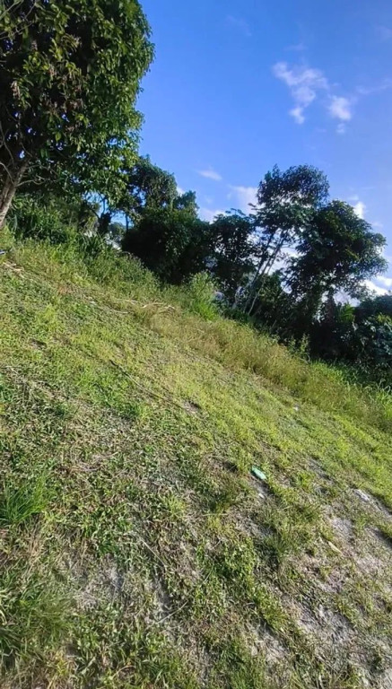 Foto - São Vicente - Vila Margarida