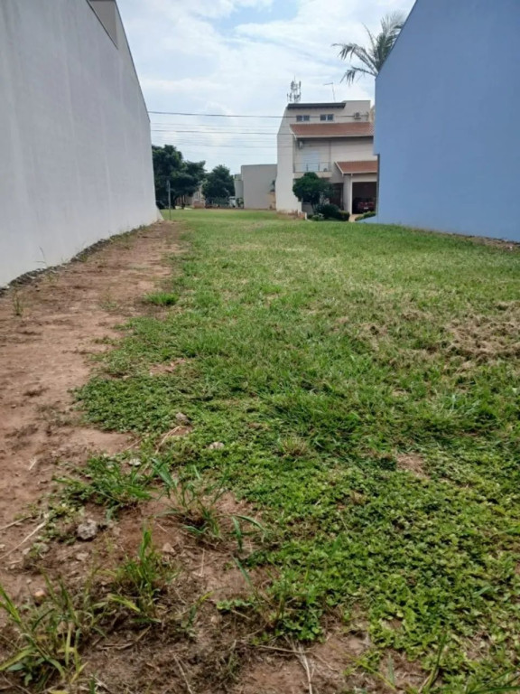 Foto - Paulínia - João Aranha