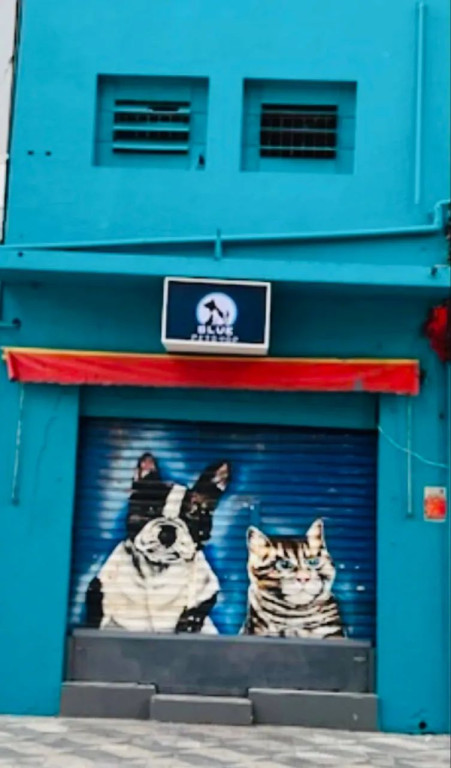 Foto - São Paulo - Santa Efigênia