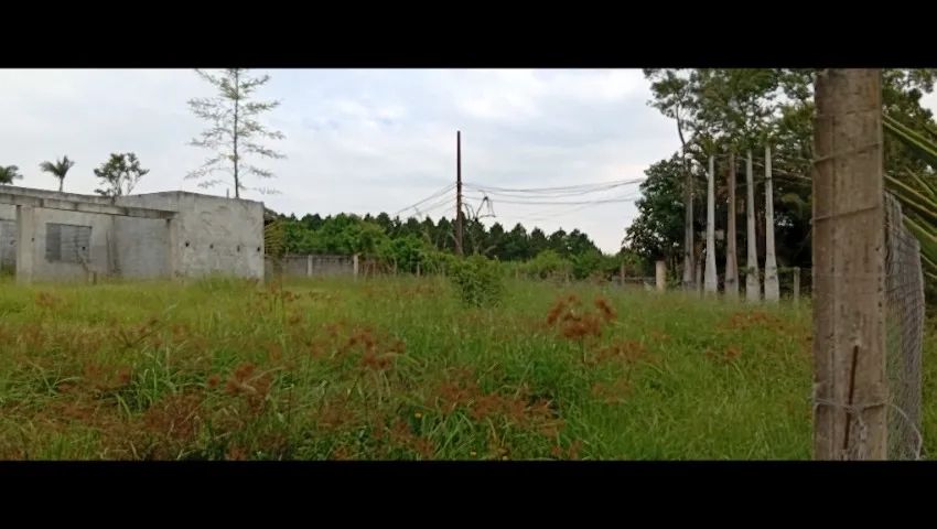 Foto - Mogi das Cruzes - Taiaçupeba