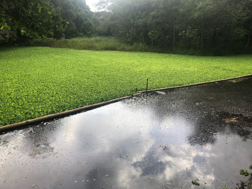 Captação de Terreno a venda na Avenida Paulo Ferraz dos Reis, Santa Clara, Jundiaí, SP