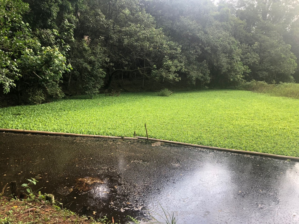 Captação de Terreno a venda na Avenida Paulo Ferraz dos Reis, Santa Clara, Jundiaí, SP