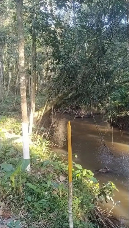 Foto - Taboão da Serra - Parque Jacarandá