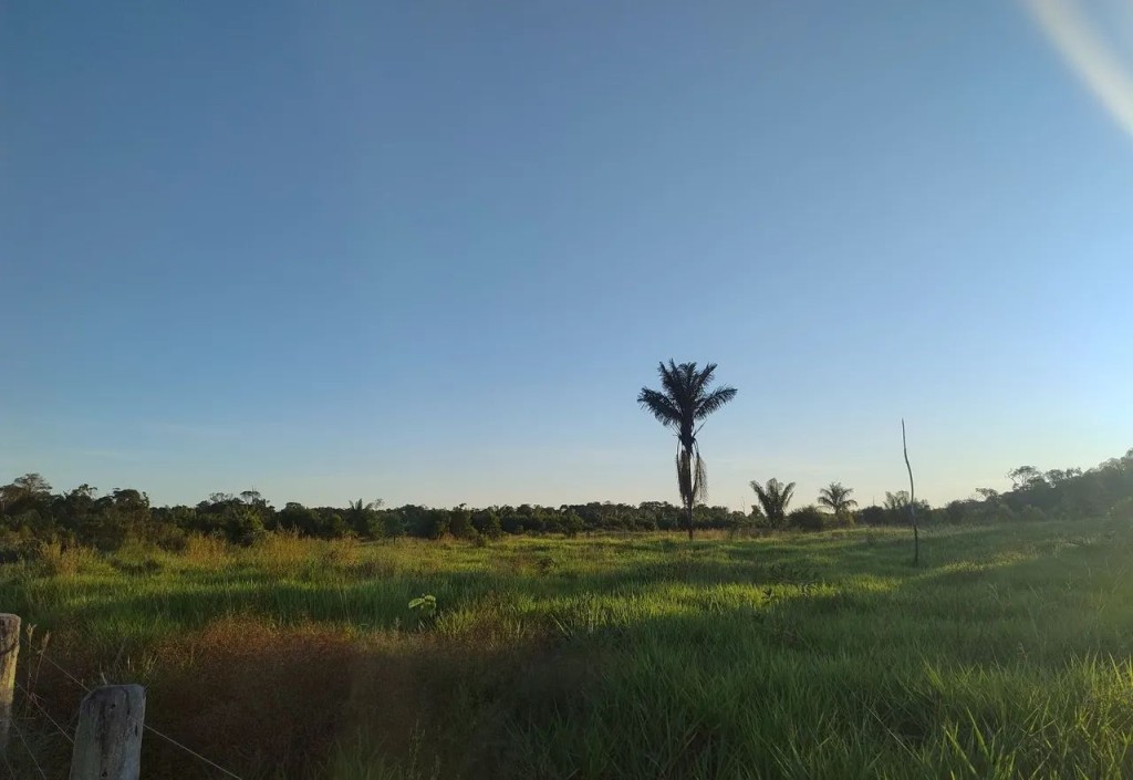 Foto - Cascavel - Centro