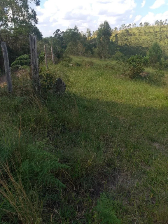 Foto - Francisco Morato - Jardim Planalto do Belém