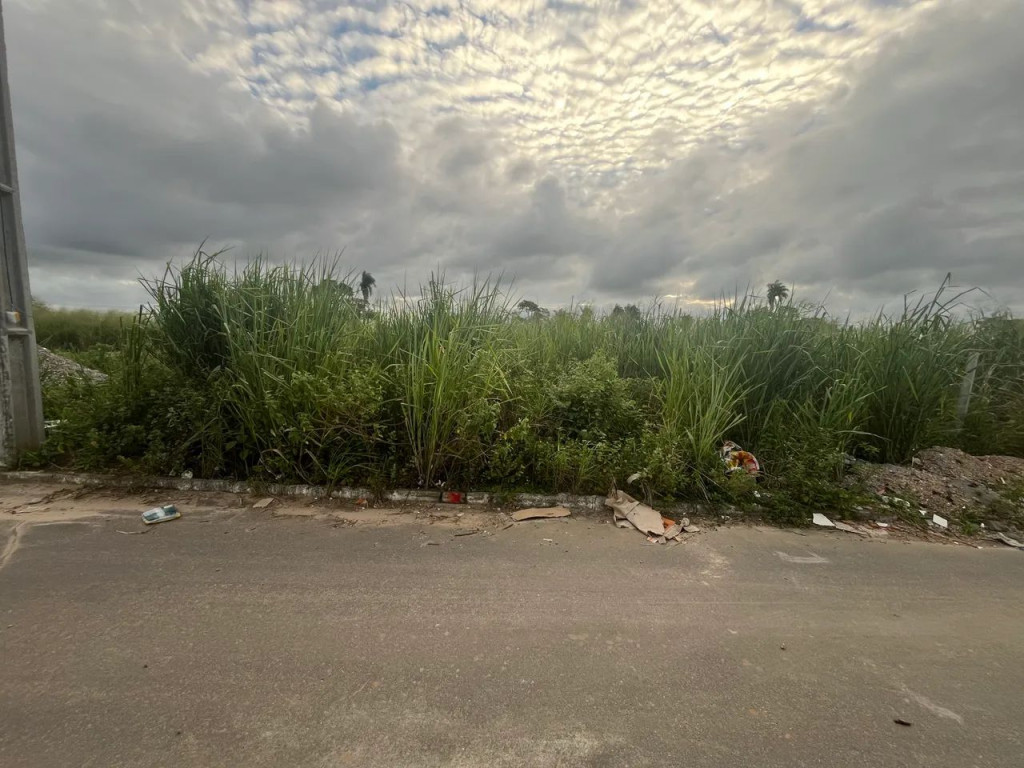 Foto - Carpina - Bairro Novo
