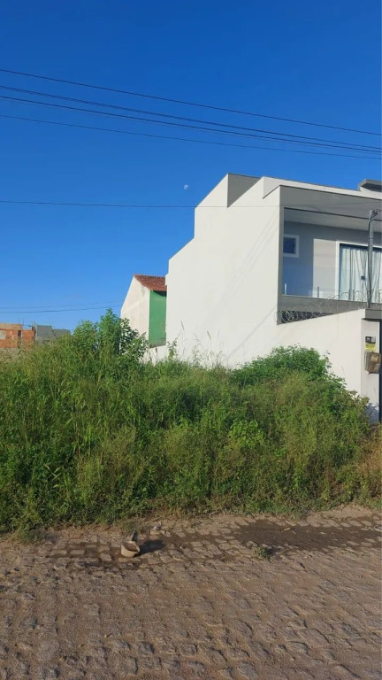 Foto - Campos dos Goytacazes - Alpha Green