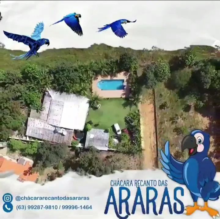 Foto - Palmas - Plano Diretor Sul
