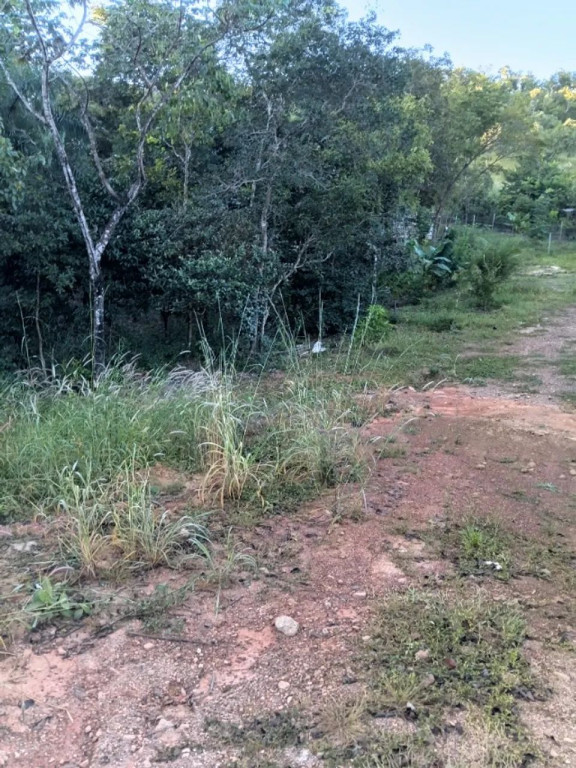Foto - Palmas - Plano Diretor Norte