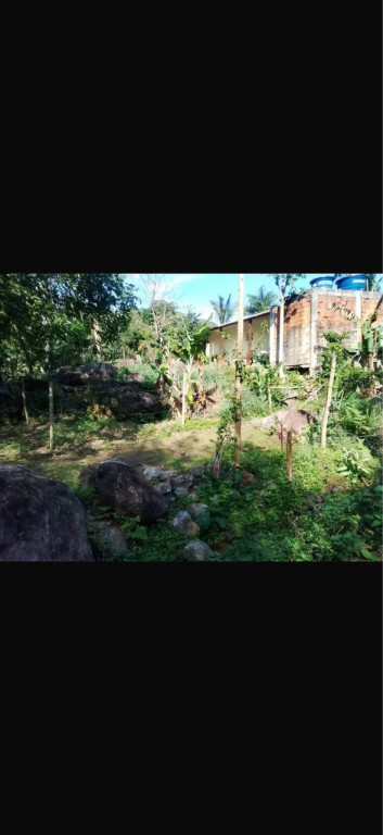 Foto - Mangaratiba - 