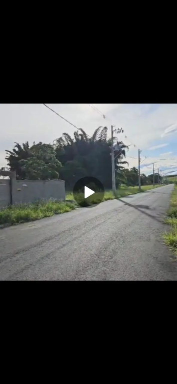 Foto - Pinheiral - Rolamão