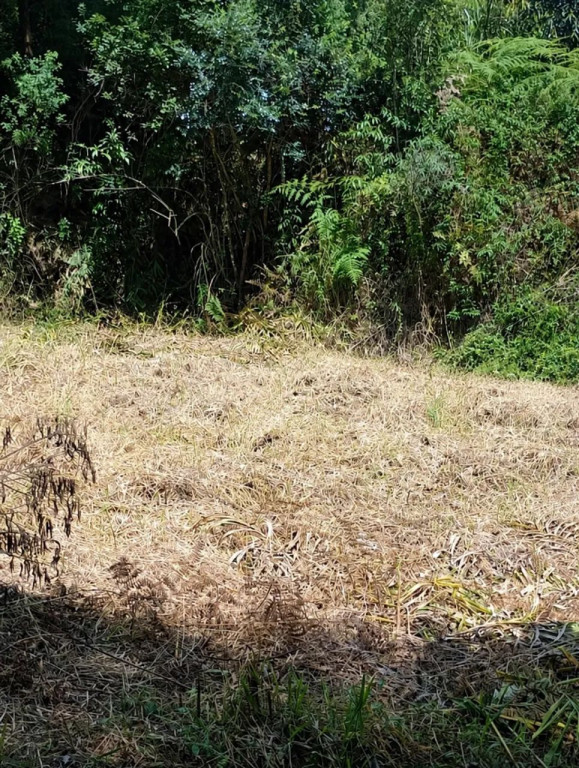 Foto - Barbacena - Colônia Rodrigo Silva