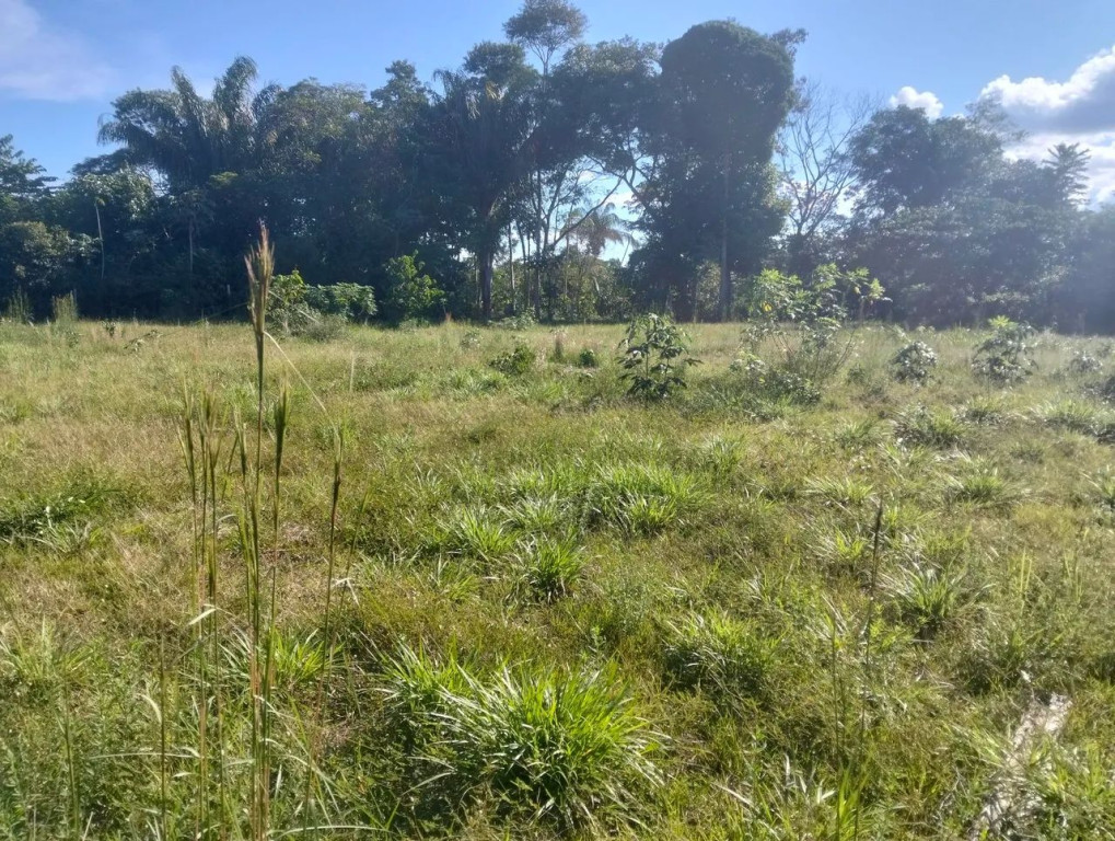 Foto - Manaus - São Raimundo