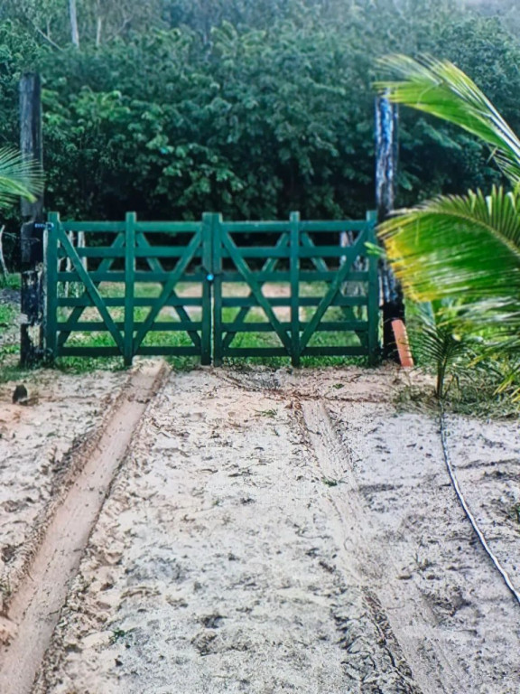 Foto - Salvador - Engenho Velho de Brotas