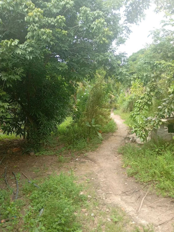 Foto - Paulista - Vila Torres Galvão
