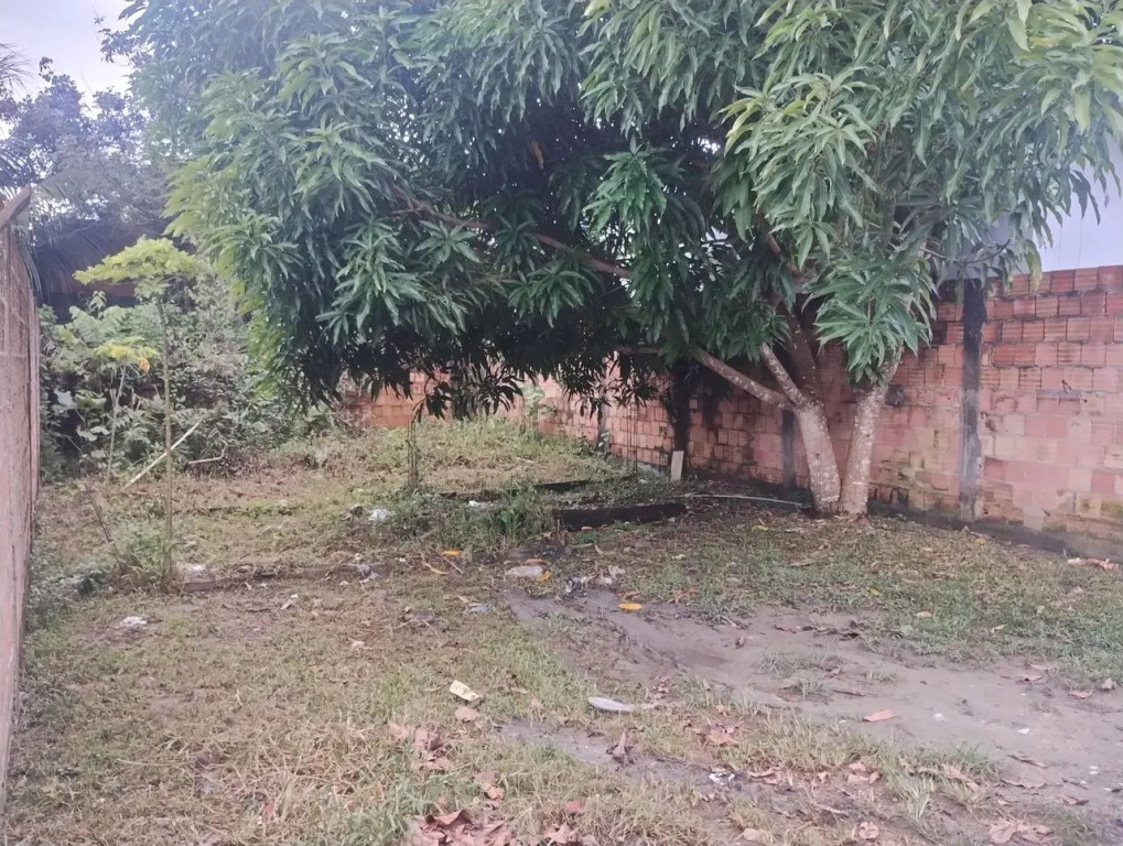 Foto - Manaus - Colônia Terra Nova