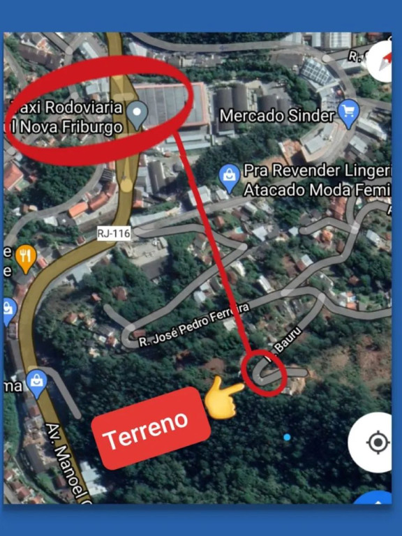 Foto - Nova Friburgo - Braunes