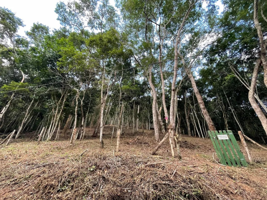 Foto - Petrópolis - Araras