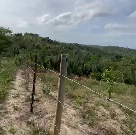 Foto - Simões Filho - 