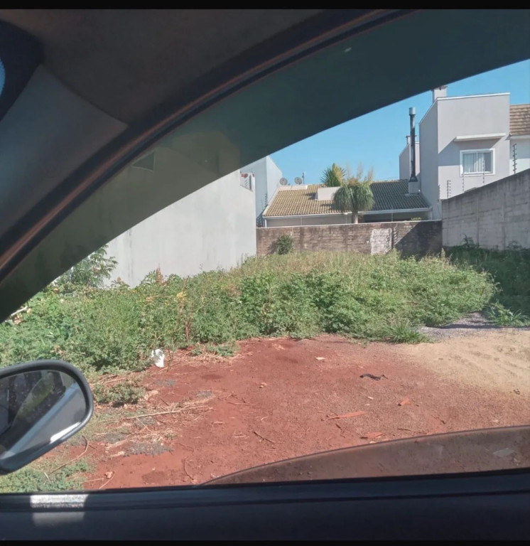 Foto - Cascavel - Canadá