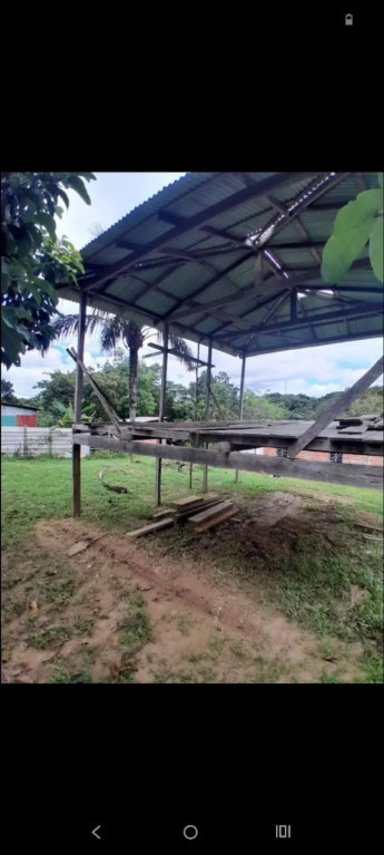 Foto - Manaus - Alvorada
