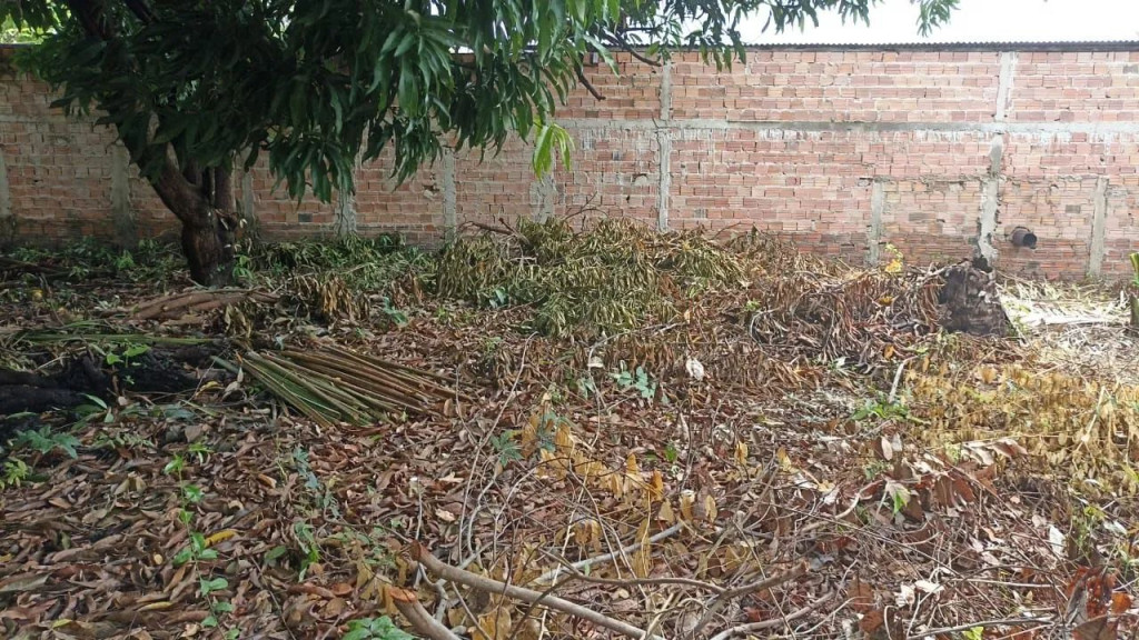 Foto - São José De Ribamar - 