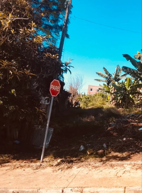 Foto - Curitiba - Pinheirinho