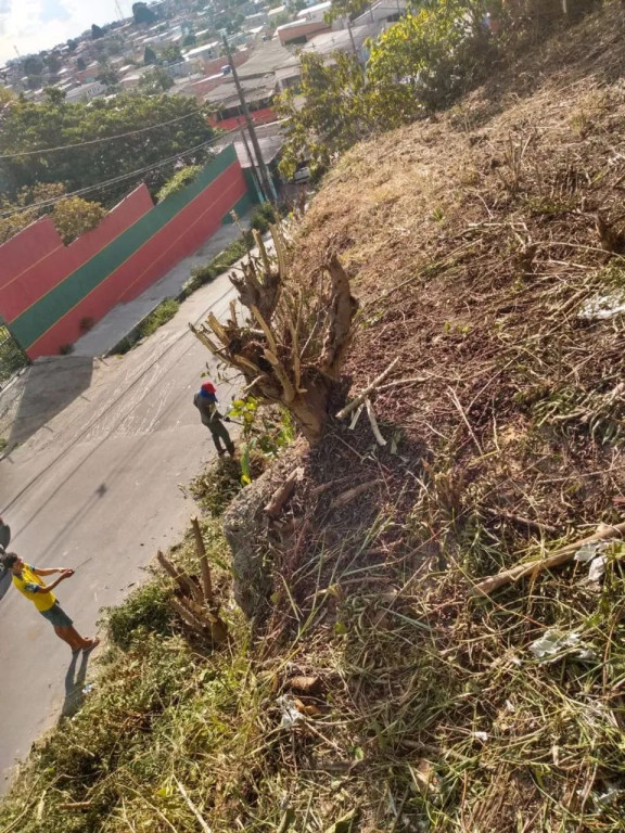 Foto - Manaus - Cidade Nova