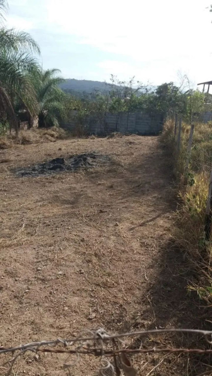 Foto - Igarapé - 