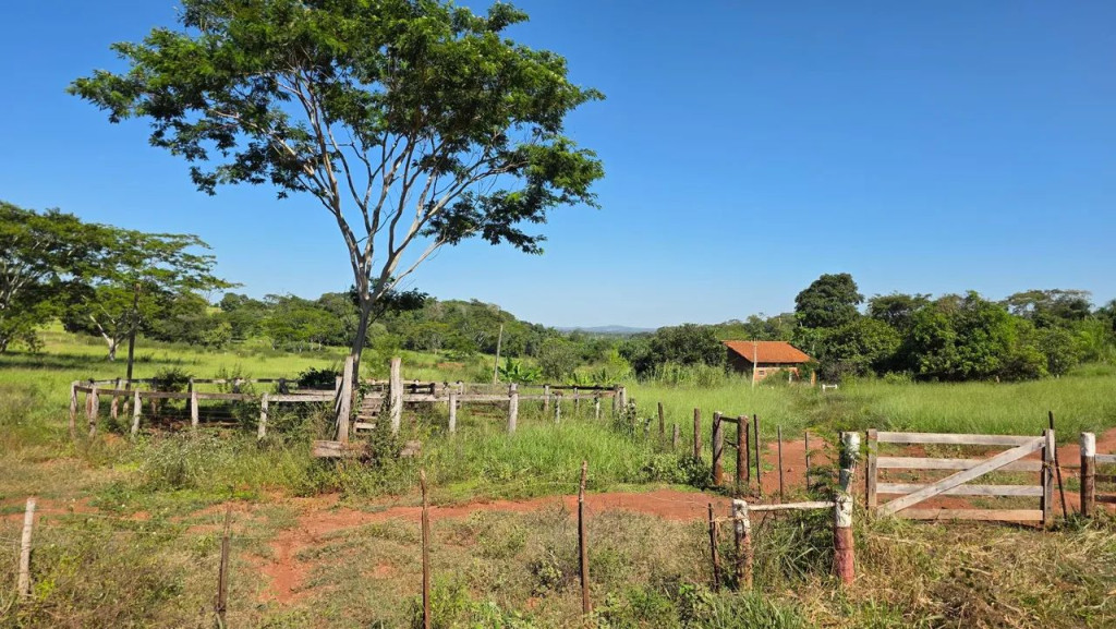 Foto - Sidrolândia - 