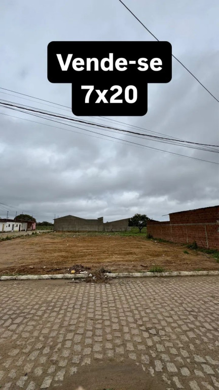 Foto - Nova Floresta - 