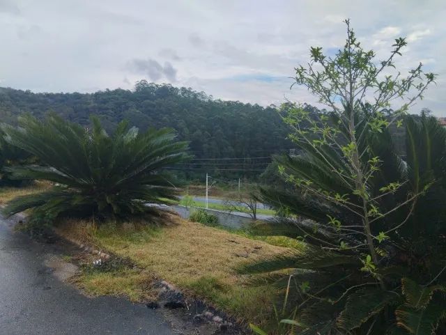 Foto - Cotia - Chácaras Roselândia
