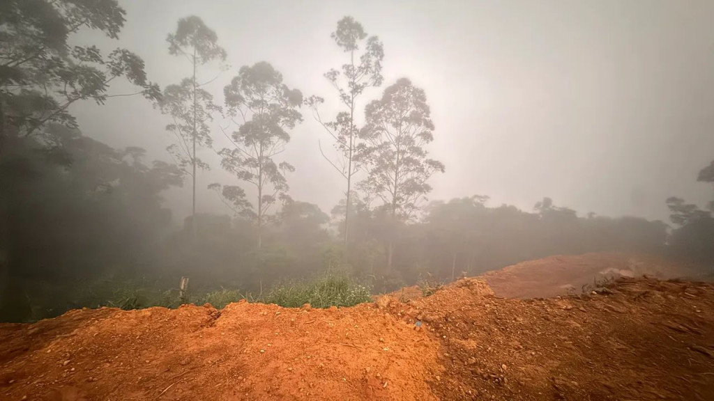 Foto - São Paulo - Jardim das Vertentes