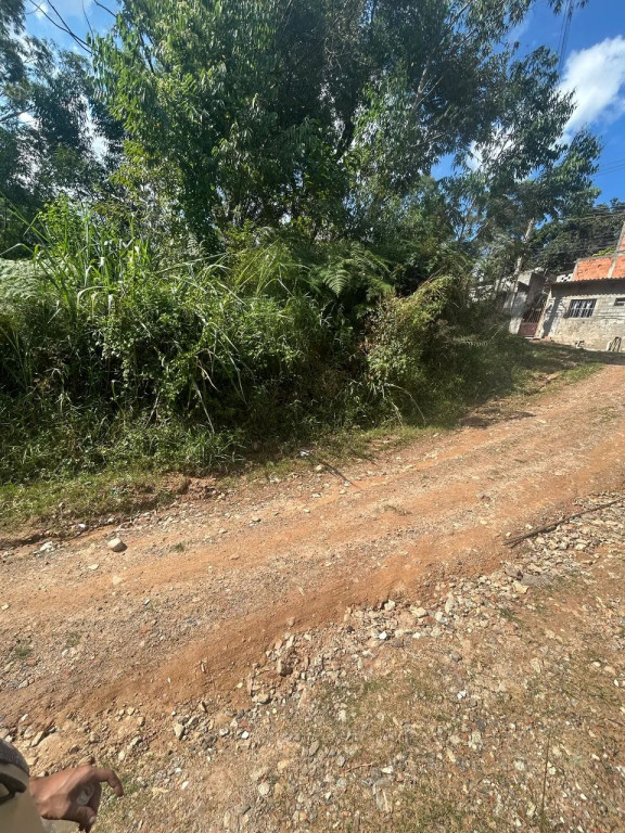 Foto - Francisco Morato - Jardim Alegria