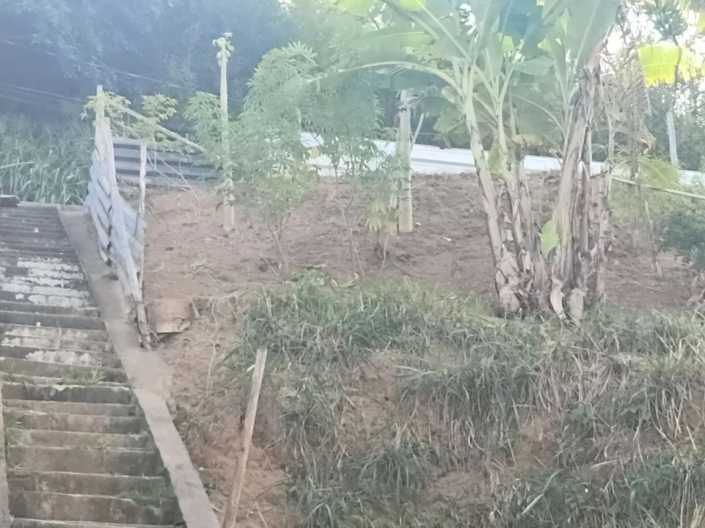Foto - Juiz de Fora - Ponte Preta