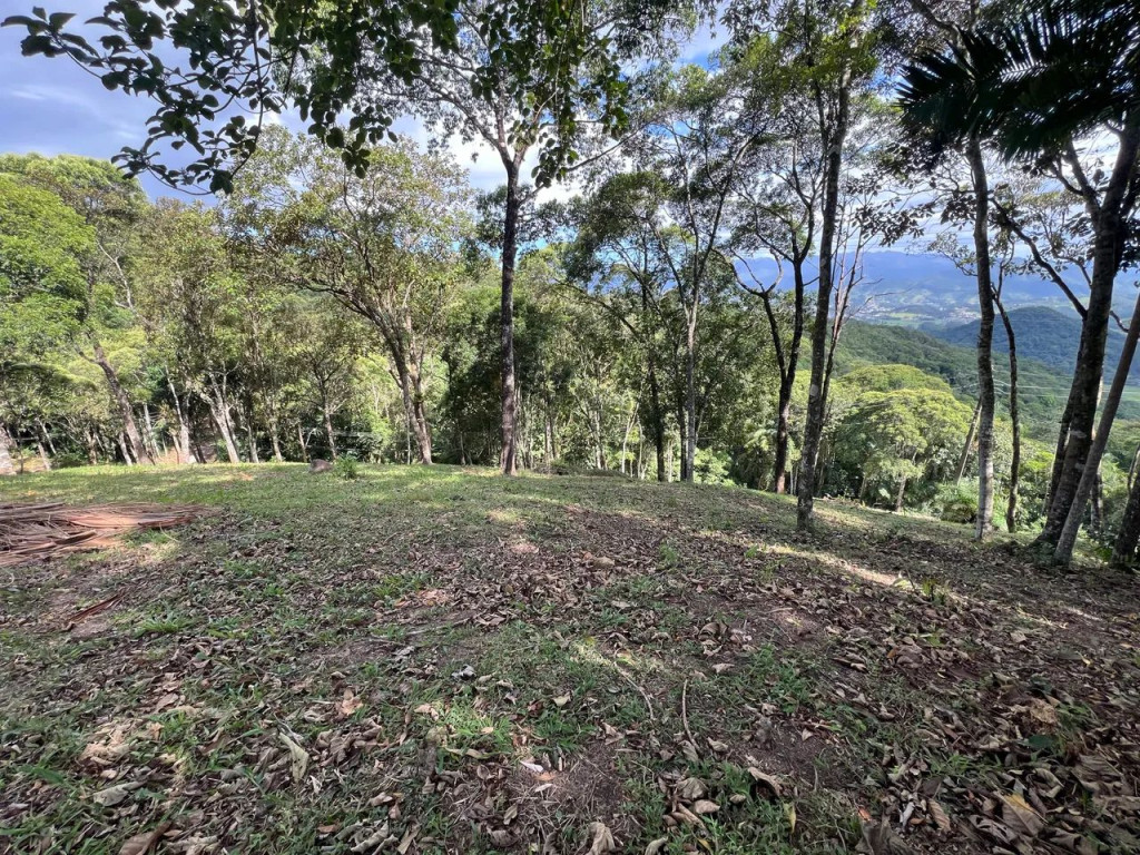 Foto - Santo Amaro da Imperatriz - 