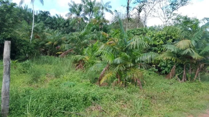 Foto - Santa Izabel do Pará - Área de Desenvolvimento