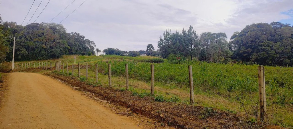 Foto - Mandirituba - Areia Branca dos Assis