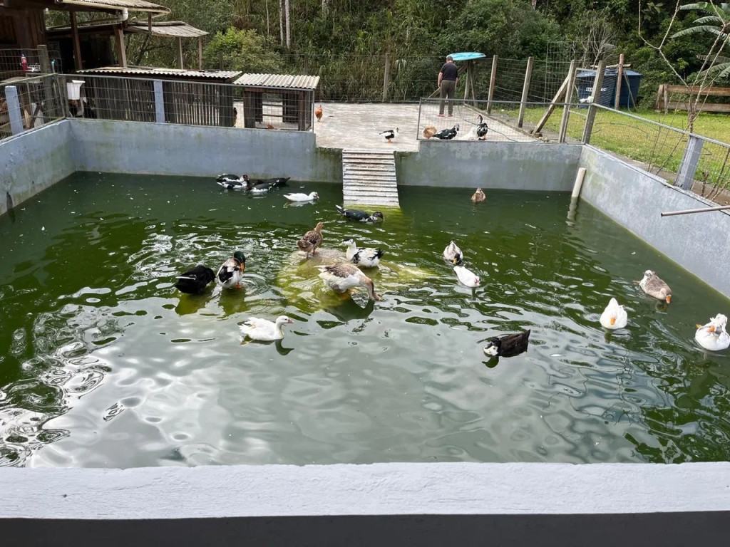 Foto - Florianópolis - Balneário