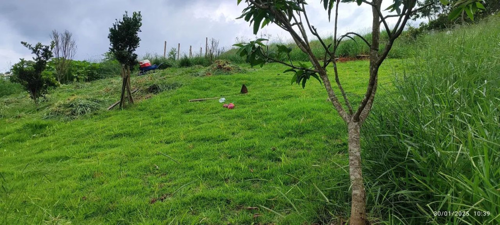Foto - São José dos Campos - Jardim Sul