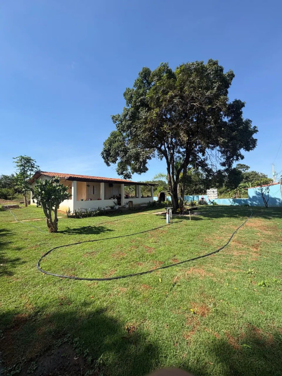 Foto - Montes Claros - Dona Gregória