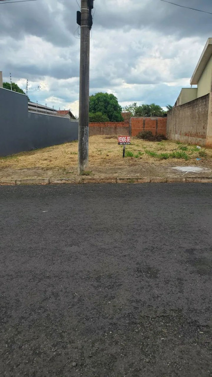 Foto - São José do Rio Preto - Parque Quinta das Paineiras