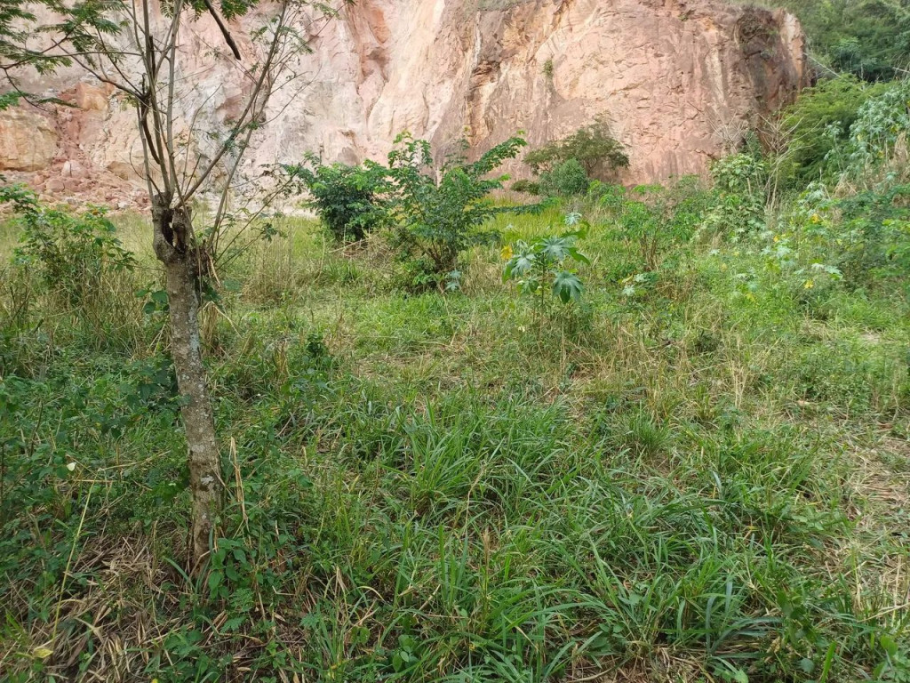 Foto - São Gonçalo - Monjolos