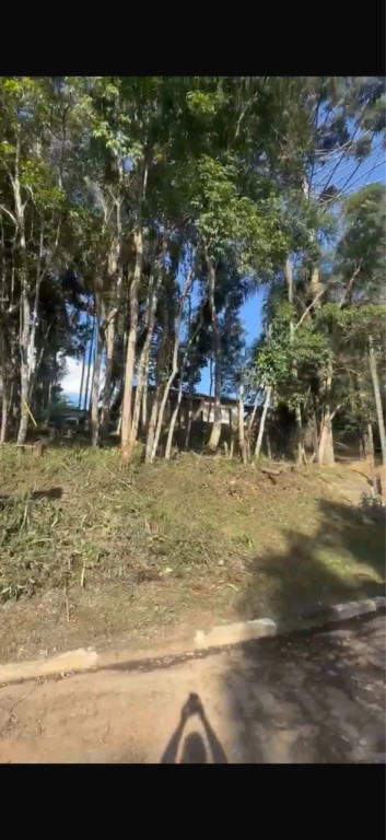 Foto - São Bernardo do Campo - 