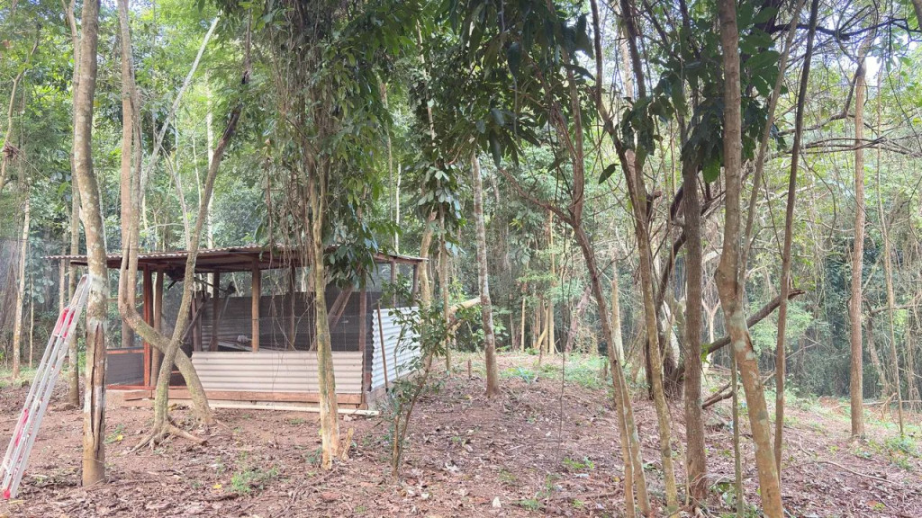 Foto - Rio de Janeiro - Campo Grande