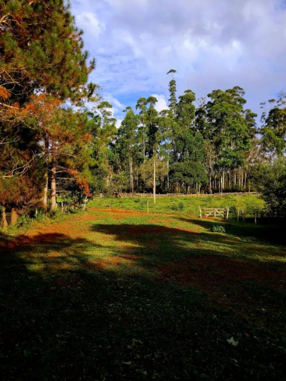Foto - Bocaina de Minas - 