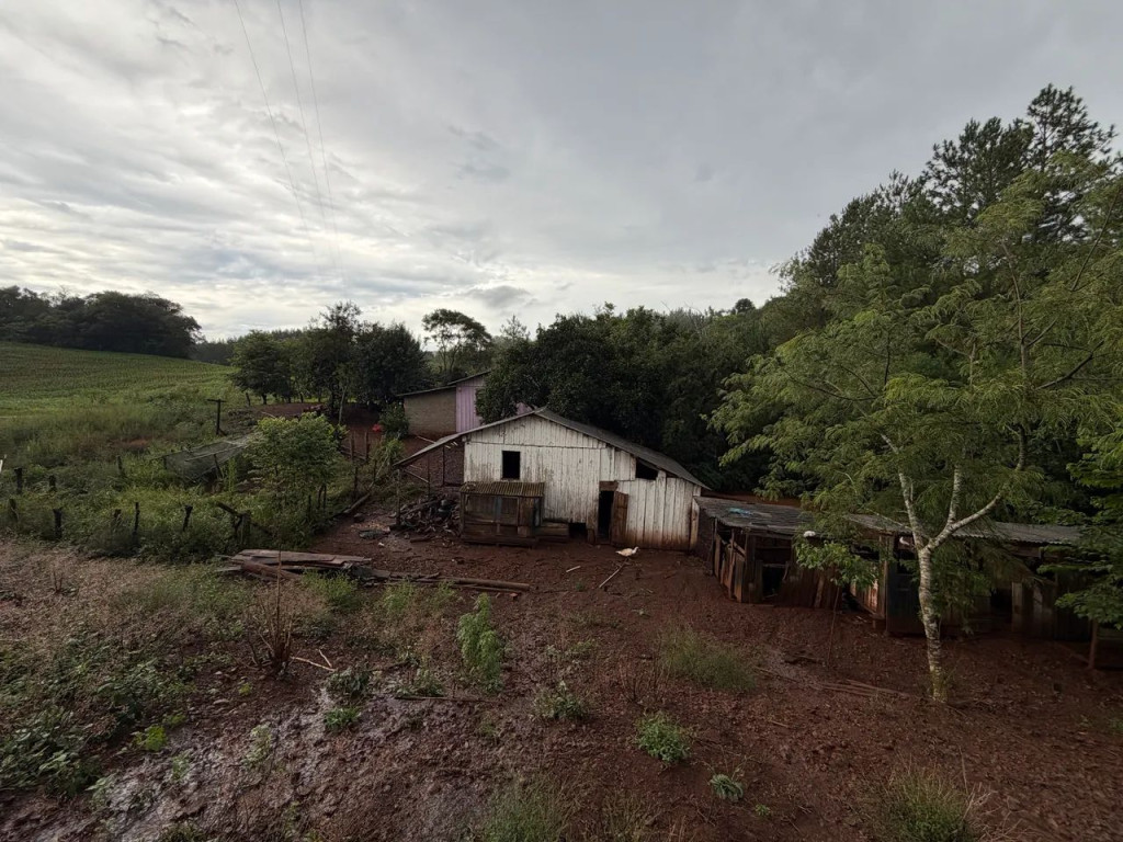 Foto - Renascença - 